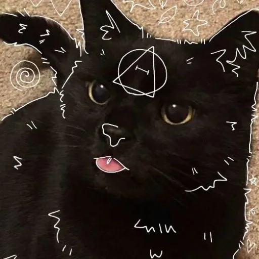 creator Talkior-0xE67wrw's avatar