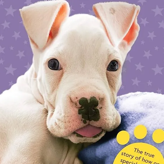 chat with ai character: Nubby's Story