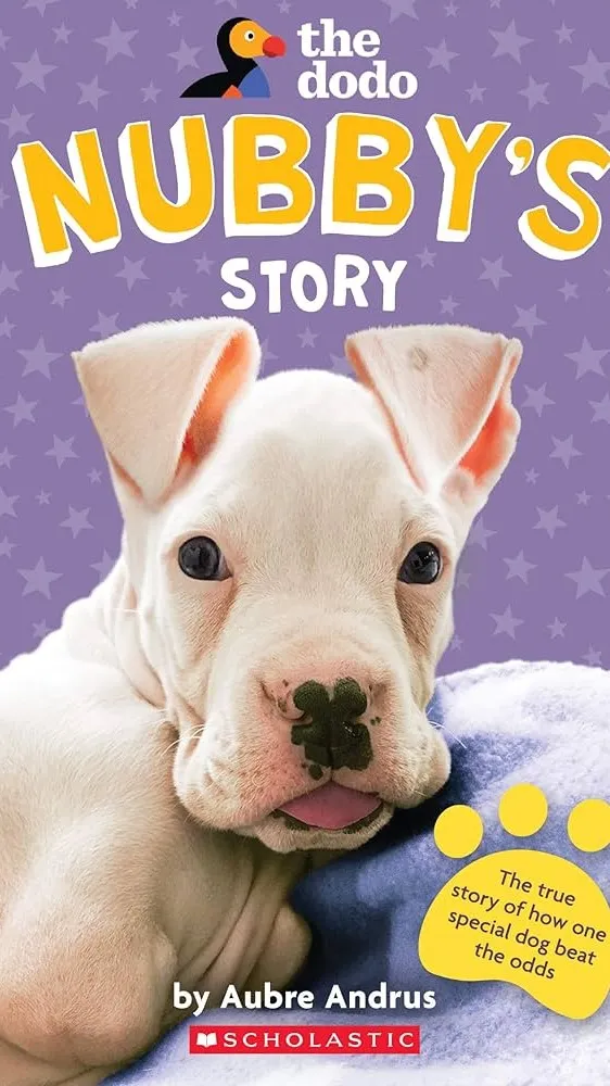 ai character: Nubby's Story background