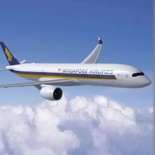 creator SingaporeAirlines's avatar