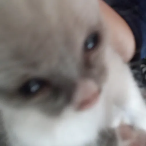 creator woah:0's avatar