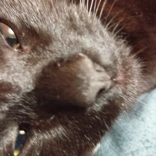 creator Ethan Graver's avatar