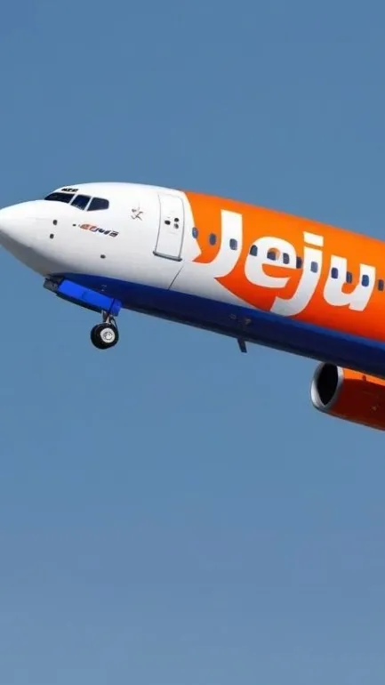 ai character: Jeju air 2226 background