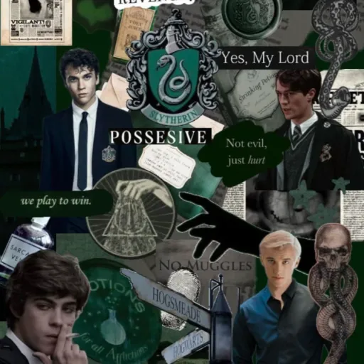 creator #slytherinboys💚's avatar