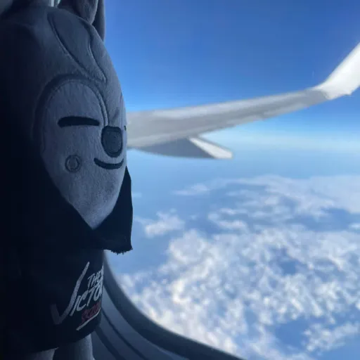 creator Jin-nee 🍓🫐's avatar