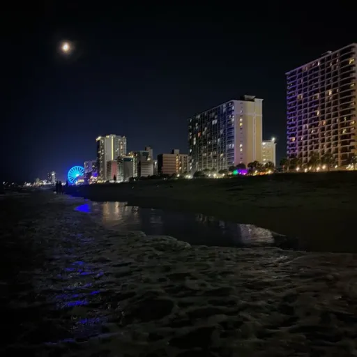 creator Valentine Vega's avatar