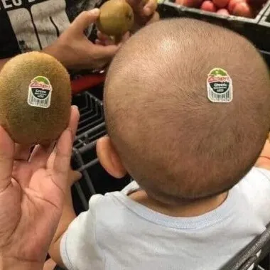 creator kiwi baby's avatar