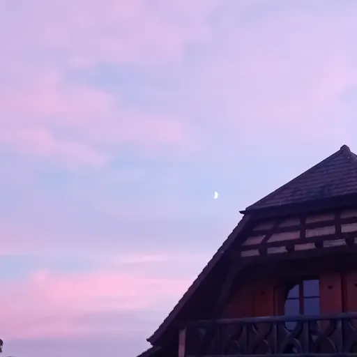 creator luna_eg_bod's avatar