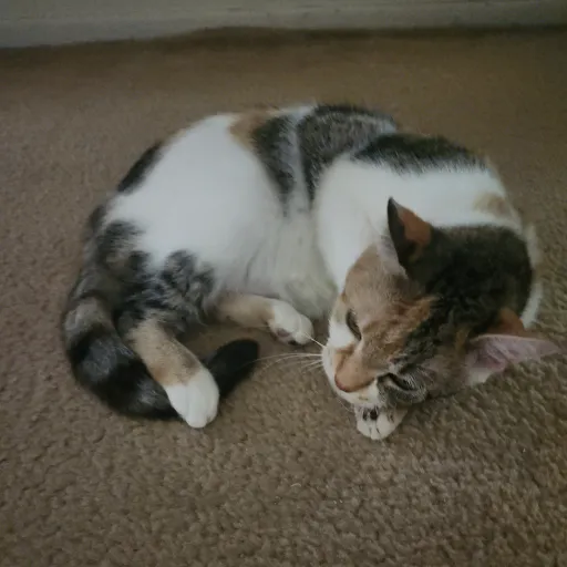 creator 🌼themag#godzilla's avatar