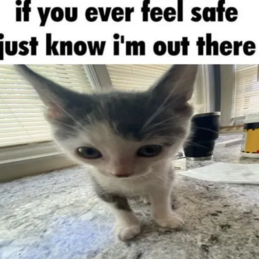 creator ✨Kittykat✨'s avatar