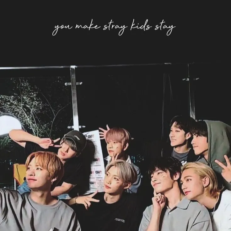 chat with ai character: Stray Kids 