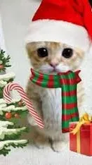 ai character: Me background