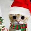 chat with ai character: Me