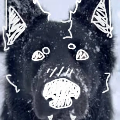 creator _TAEK0_'s avatar