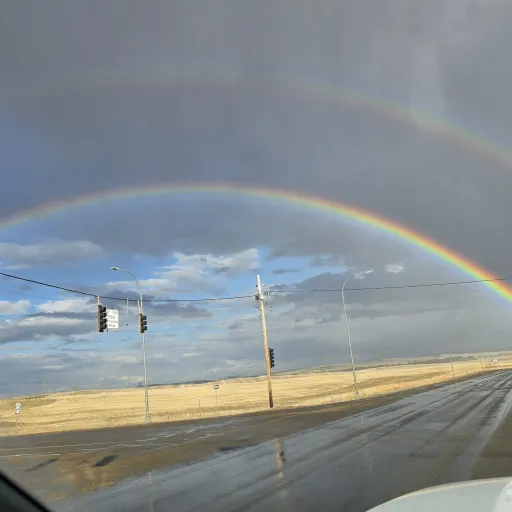 creator roseycat's avatar