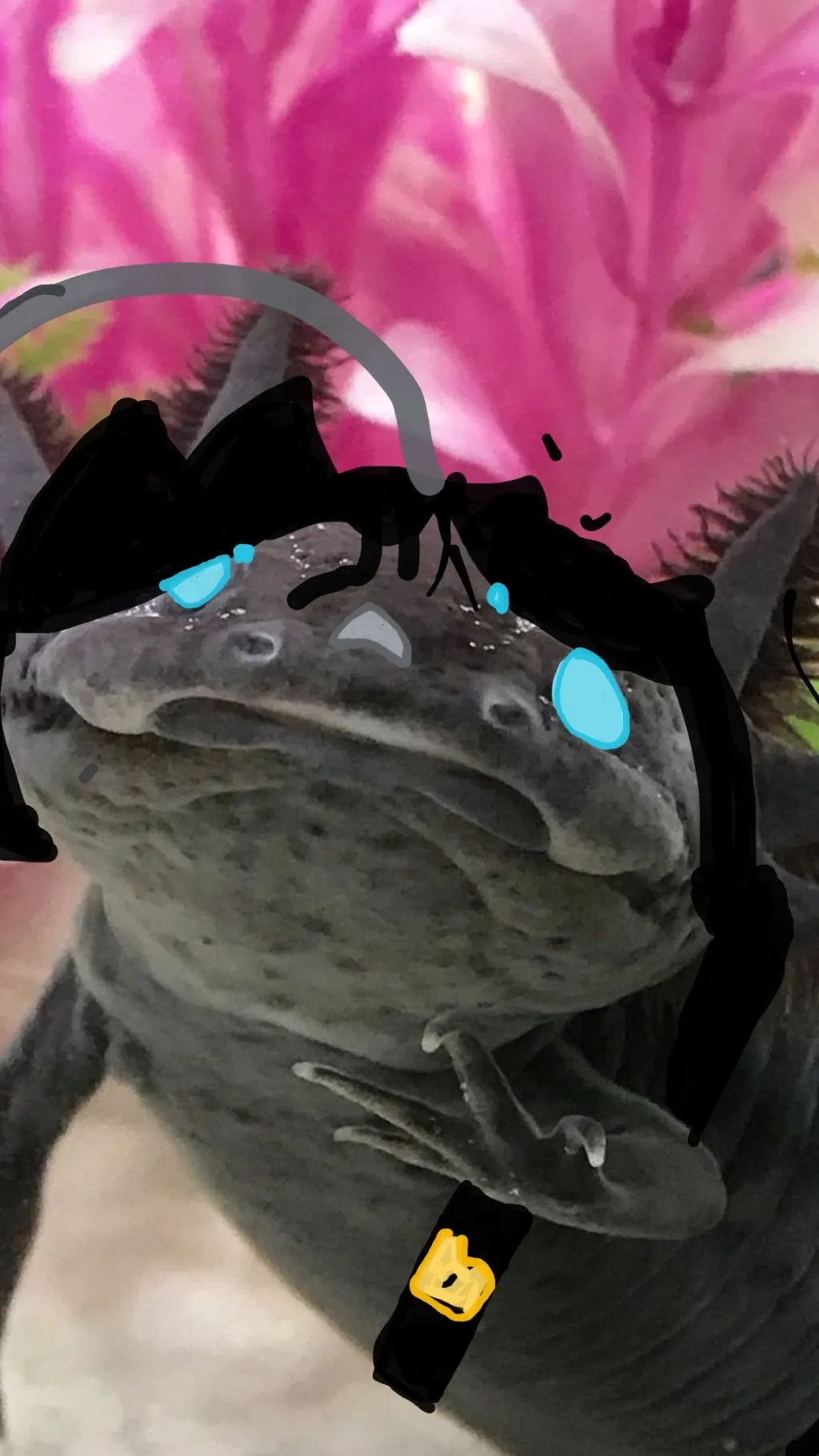 ai character: Sebastian Solace background