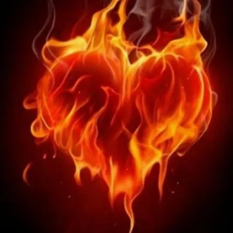 creator fire 🔥 ♤♡◇♧☆'s avatar