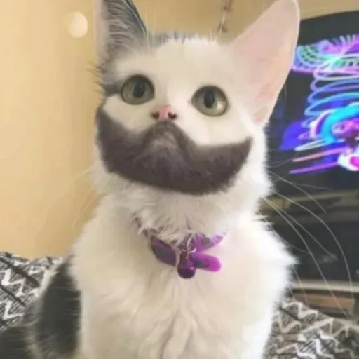 creator WeeklyAi's avatar