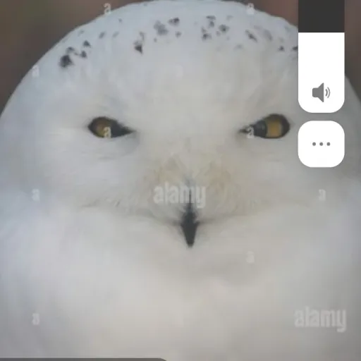 creator human12345's avatar