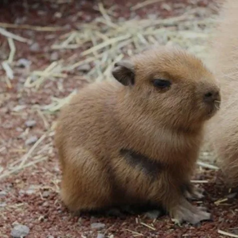 creator Jack3510's avatar