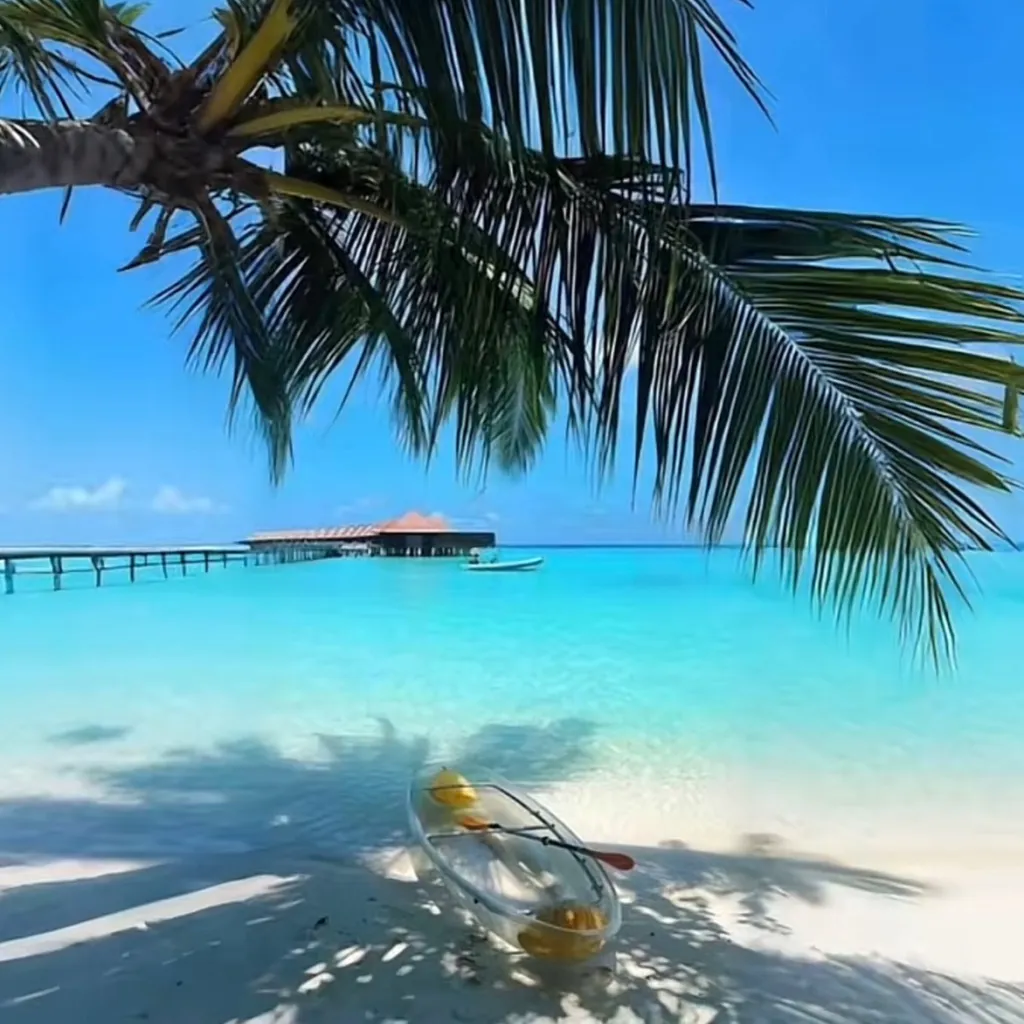 chat with ai character: F1 Stuck on Island