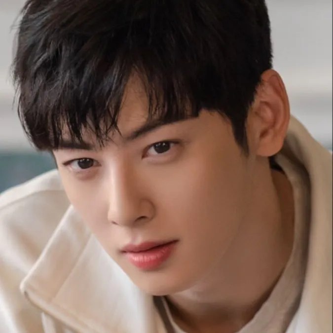 chat with ai character: Cha Enwoo