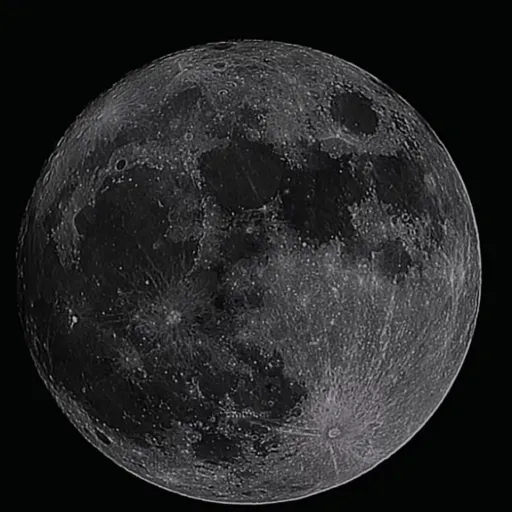 creator EliTheBest's avatar