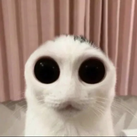 creator cat_idk's avatar