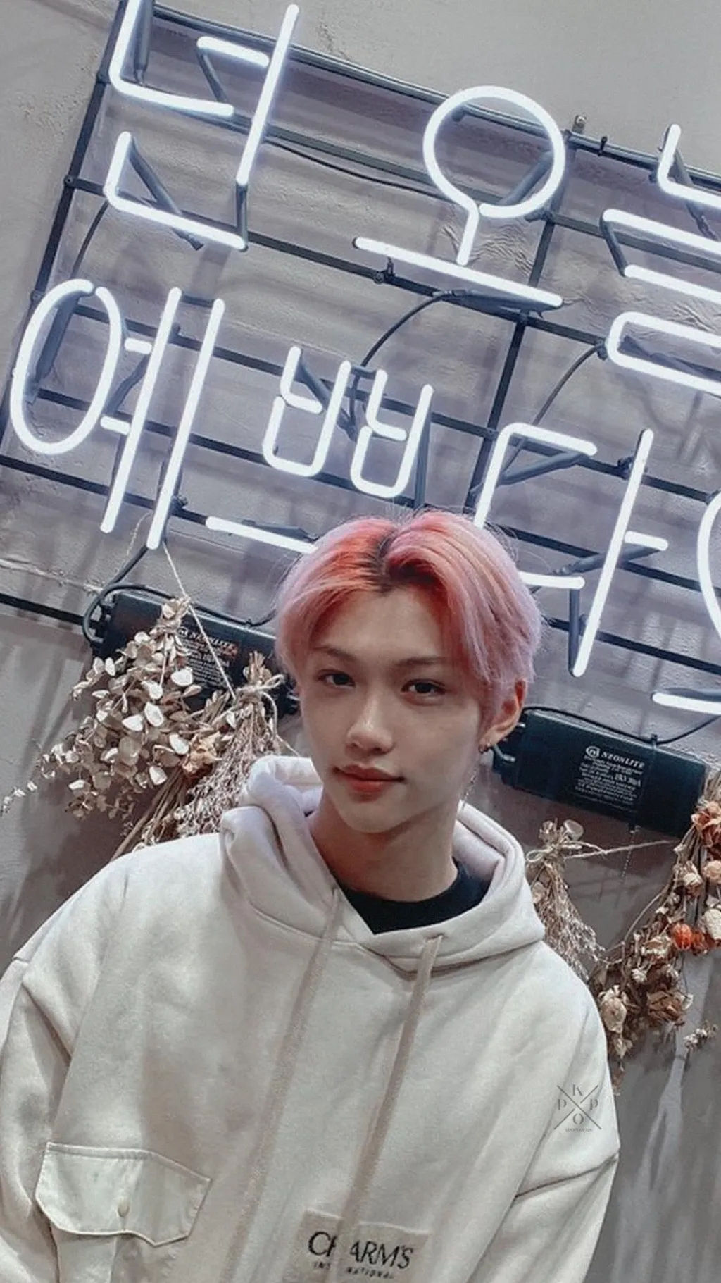 ai character: An Idol's Idol background