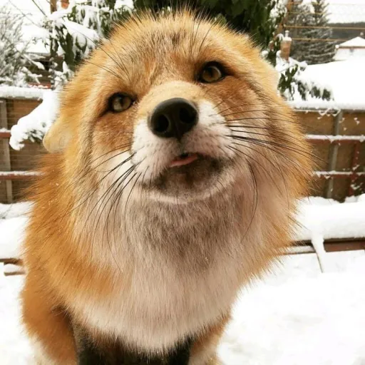 creator Unkn0wn_Ang3l's avatar