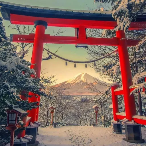 creator EL_GATO💀's avatar