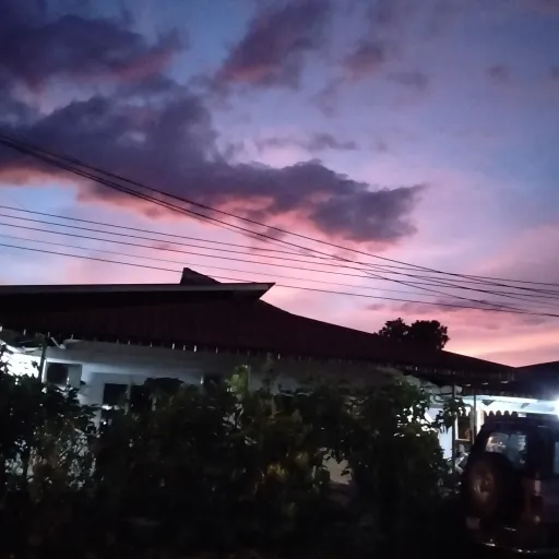 creator ٭Alex٭'s avatar