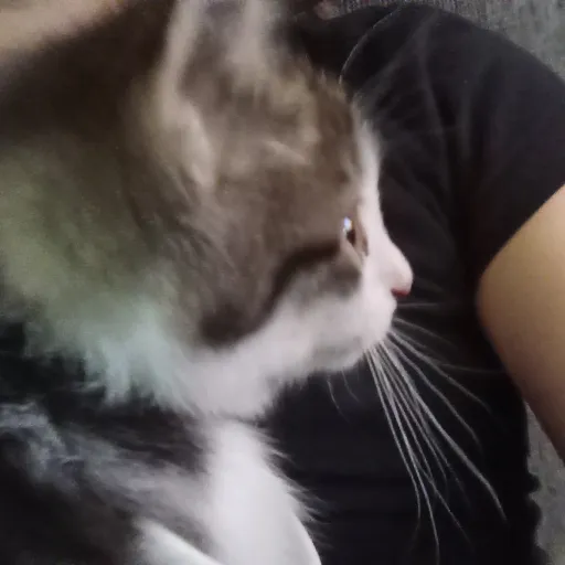 creator MD IS THE BESTT's avatar