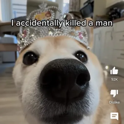 creator rocky😛😛😛😛's avatar