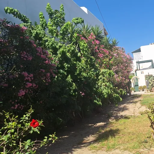 creator 😝♐️😝's avatar