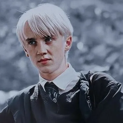 chat with ai character: sad Draco x u