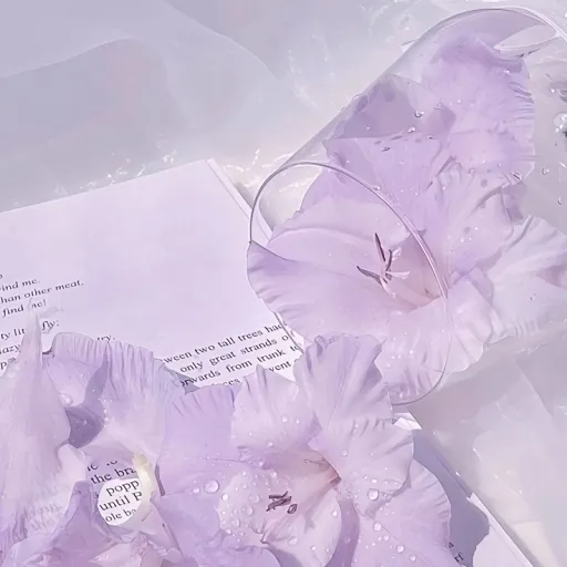 creator Talkior-B88QRFm6's avatar