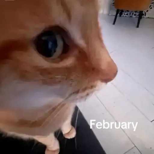 creator This_Girl_Is_OG's avatar