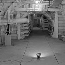 chat with ai character: The war