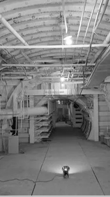 ai character: The war background