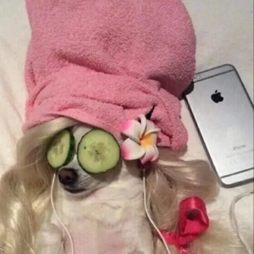 creator Appk's avatar