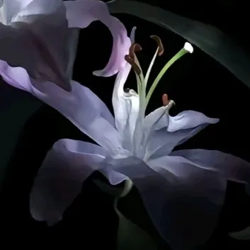 creator RethinkingMyChoice's avatar