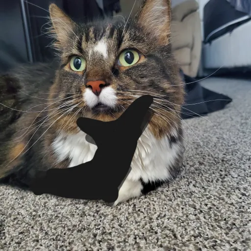 creator #TakenCookie12's avatar