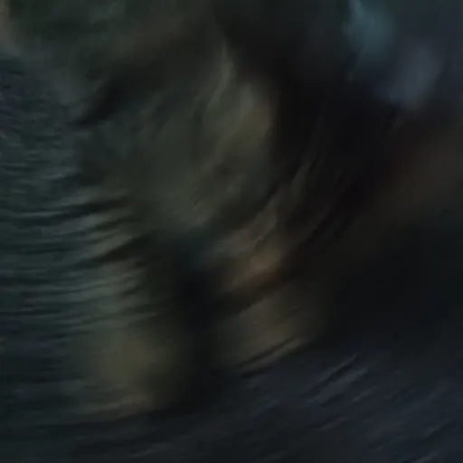 creator Cat Girliggry's avatar