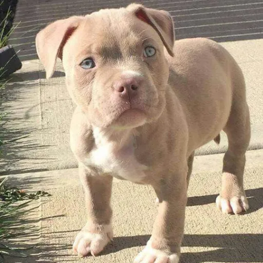 creator Lee444's avatar