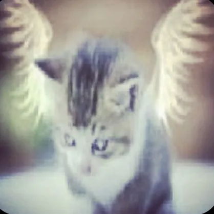 creator Luvthemoon's avatar