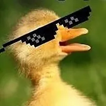 creator MadameDuck's avatar