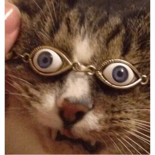 creator cat meow catnap's avatar