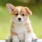 creator ♬Jiro♬'s avatar