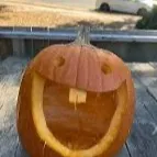 chat with ai character: dumb pumking